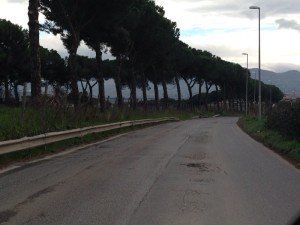 Via Fosso dell'Osa