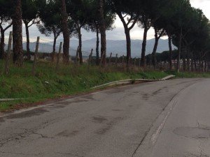 Via Fosso dell'Osa