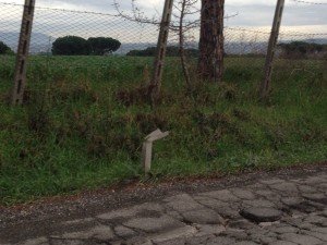 Via Fosso dell'Osa
