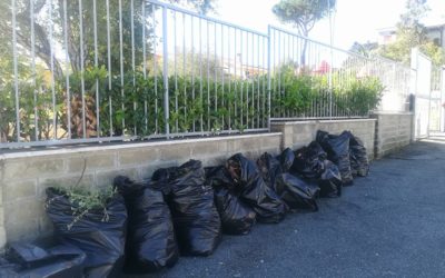 Obiettivo decoro: più che raggiunto