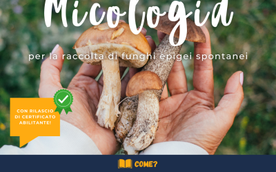 SPACE: al via il corso di Micologia