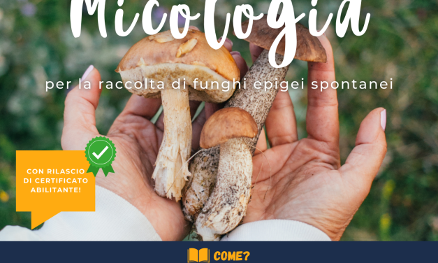 SPACE: al via il corso di Micologia