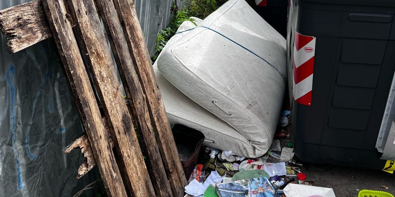 Segnalazione criticità abbandono rifiuti ingombranti e proposte di intervento