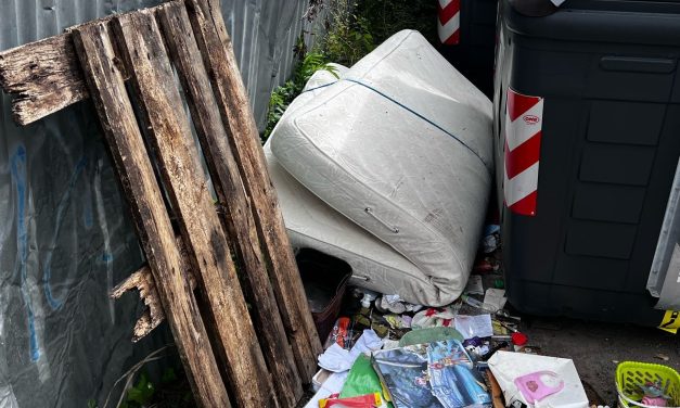 Segnalazione criticità abbandono rifiuti ingombranti e proposte di intervento
