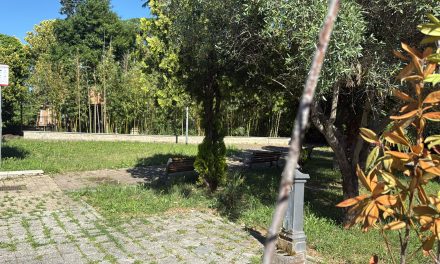Parchi Villaggio Prenestino: facciamo chiarezza