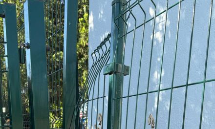 Tentata intrusione notturna al parco di Via Riserva Nuova