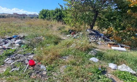 Sopralluogo a Villaggio Prenestino insieme alla Commissione Ambiente per parchi e vivibilità del quartiere