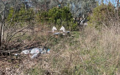 Parco Via Torricella Sicura: inviata (ennesima) lettera formale a Roma Capitale e Municipio VI per chiederne la riqualificazione