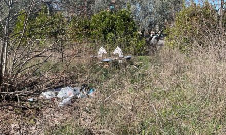 Parco Via Torricella Sicura: inviata (ennesima) lettera formale a Roma Capitale e Municipio VI per chiederne la riqualificazione