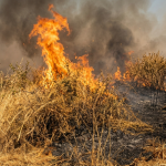 Villaggio Prenestino e Rischio Incendi: lettera ai Vigili Urbani per la Prevenzione