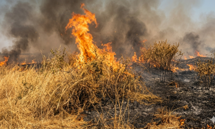 Villaggio Prenestino e Rischio Incendi: lettera ai Vigili Urbani per la Prevenzione