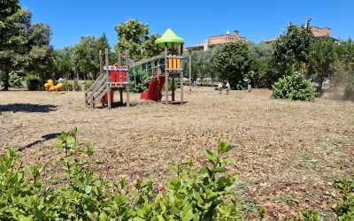 Parco Via Torricella Sicura: la nostra battaglia per il verde pubblico a Villaggio Prenestino