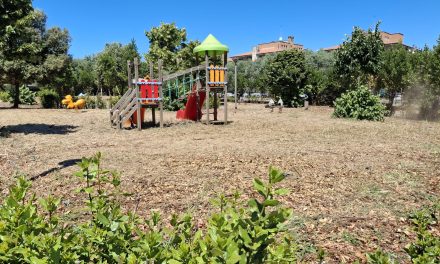 Parco Via Torricella Sicura: la nostra battaglia per il verde pubblico a Villaggio Prenestino