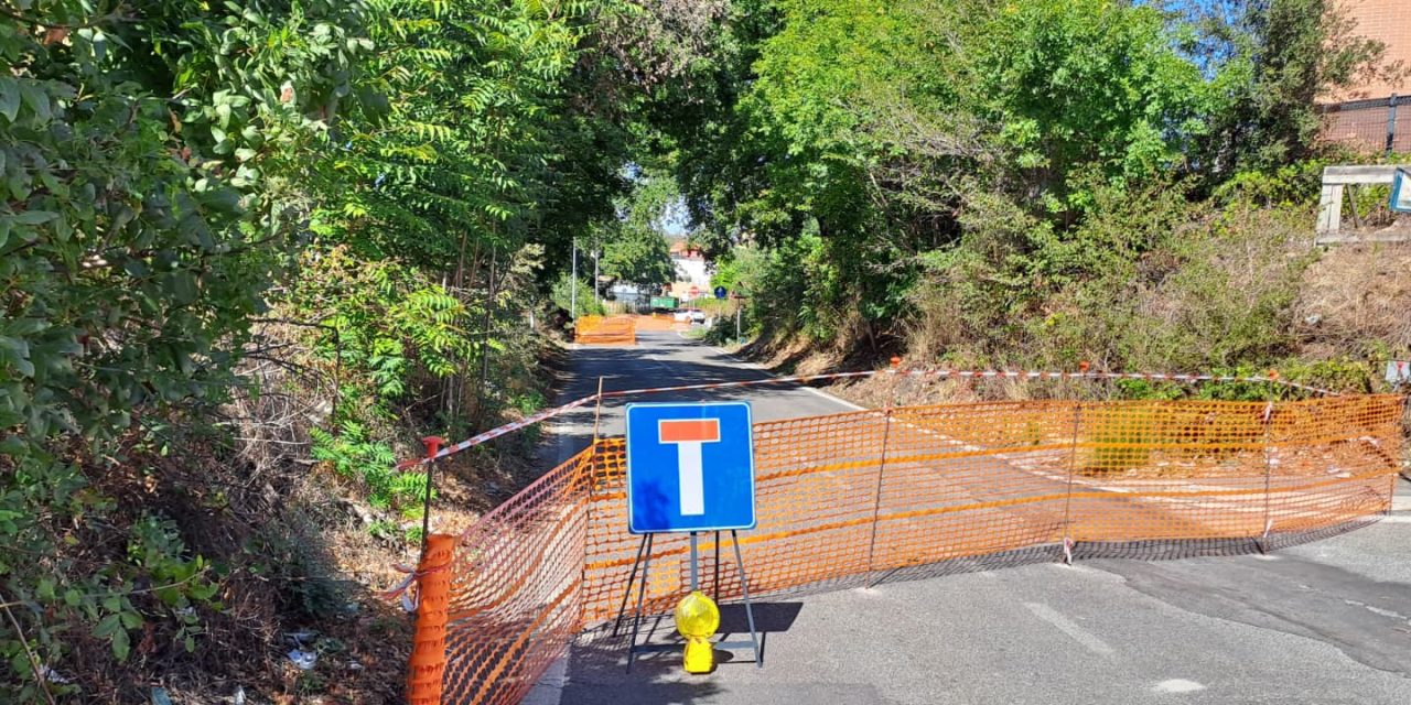 Messa in sicurezza alberature in Via Fosso dell’Osa: inviata segnalazione urgente al Dipartimento Tutela Ambientale
