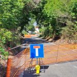 Messa in sicurezza alberature in Via Fosso dell’Osa: inviata segnalazione urgente al Dipartimento Tutela Ambientale