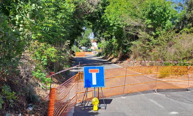 Messa in sicurezza alberature in Via Fosso dell’Osa: inviata segnalazione urgente al Dipartimento Tutela Ambientale