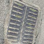 Caditoie Villaggio Prenestino: inviata segnalazione