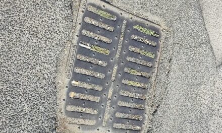 Caditoie Villaggio Prenestino: inviata segnalazione