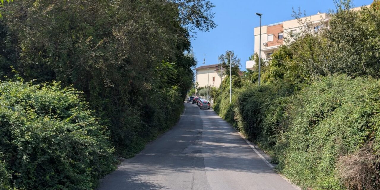 Vegetazione invadente su via Perano