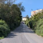 Vegetazione invadente su via Perano