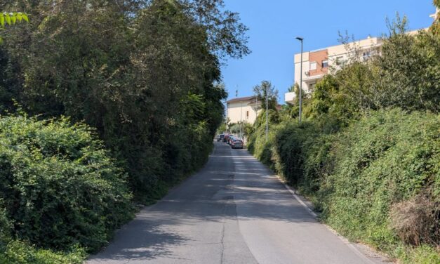 Vegetazione invadente su via Perano